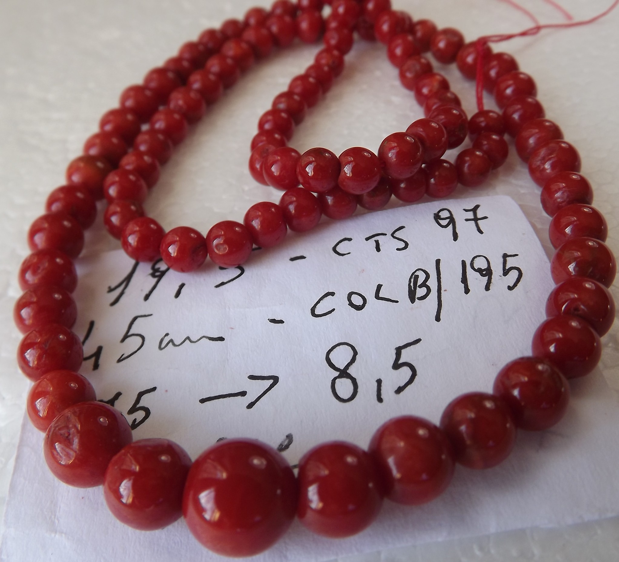 195d.jpg(29115 byte)