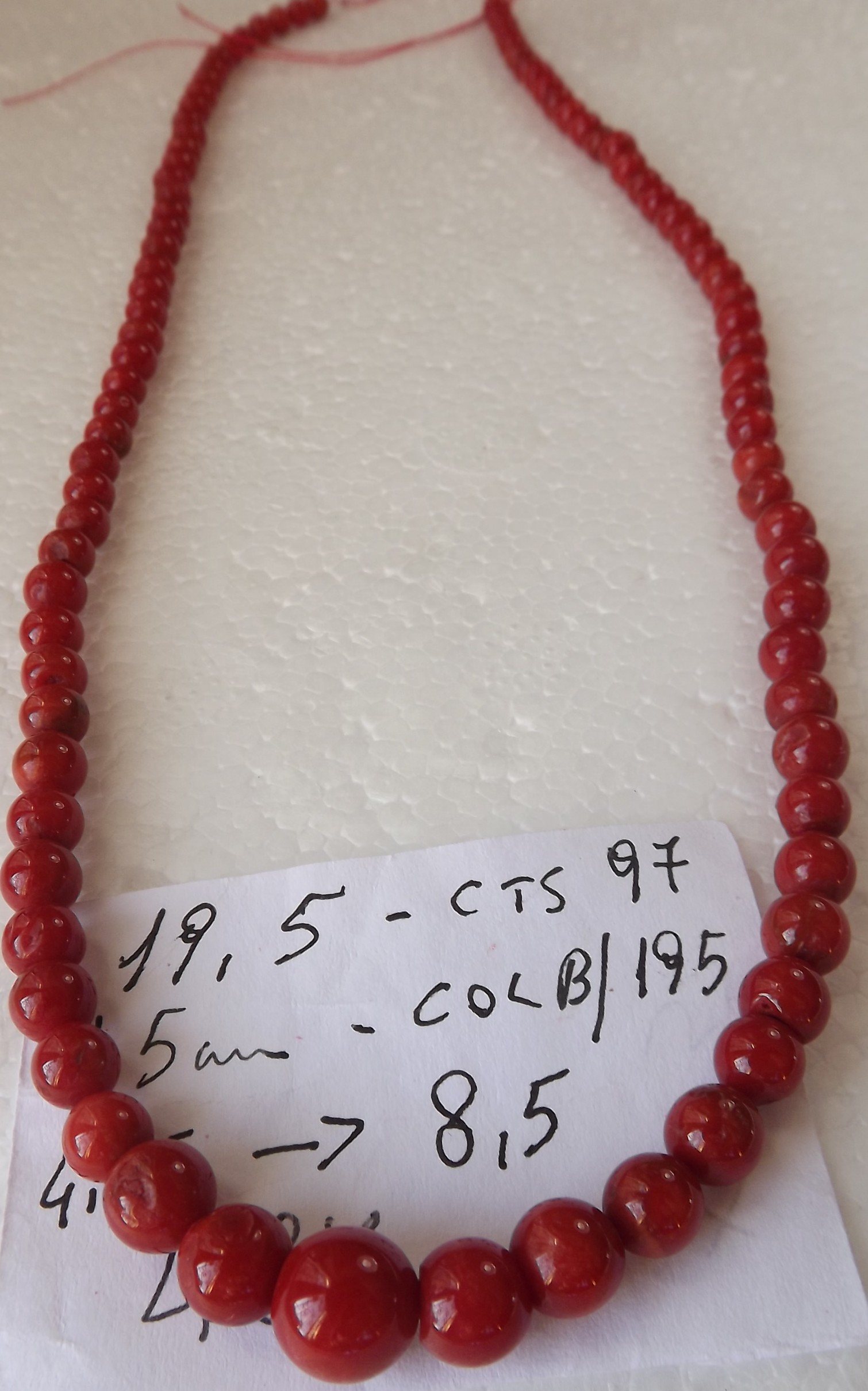 195i.jpg(29115 byte)