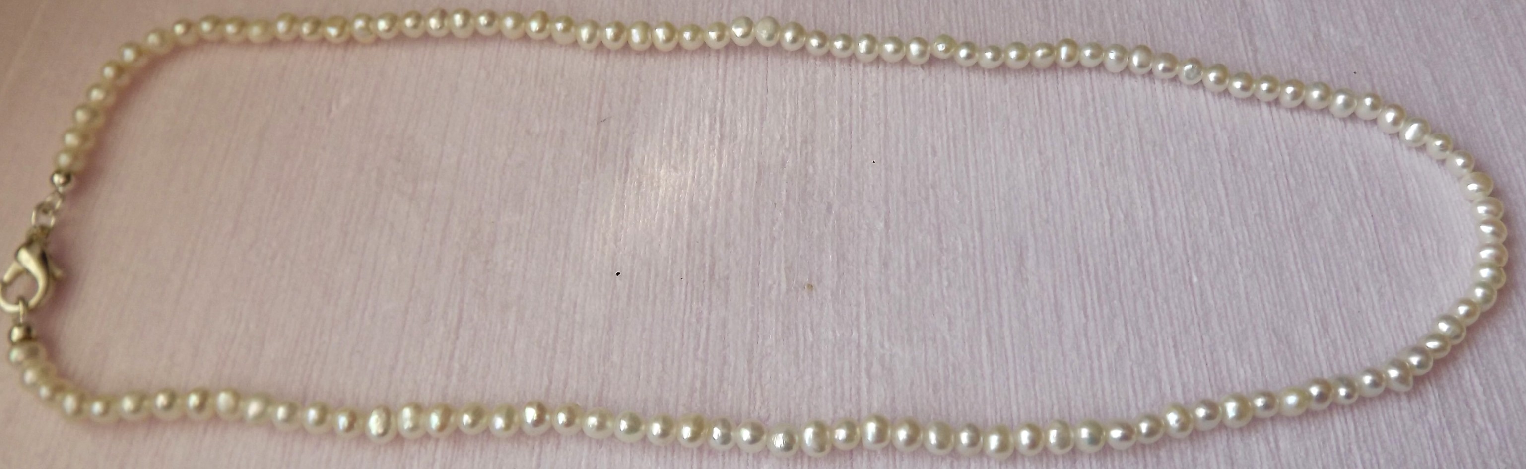 perla4.jpg(29115 byte)