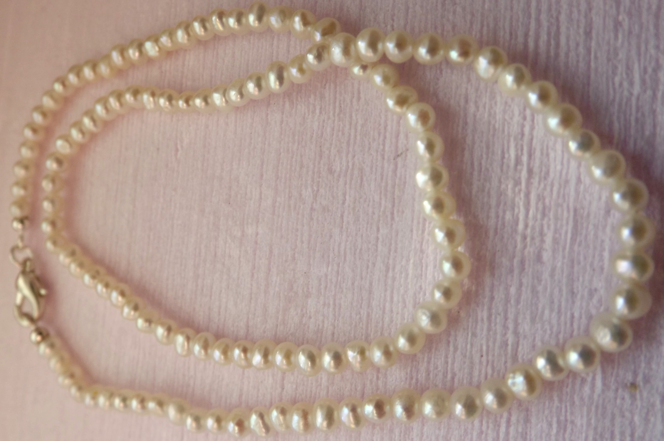 perla4b.jpg (29115 byte)