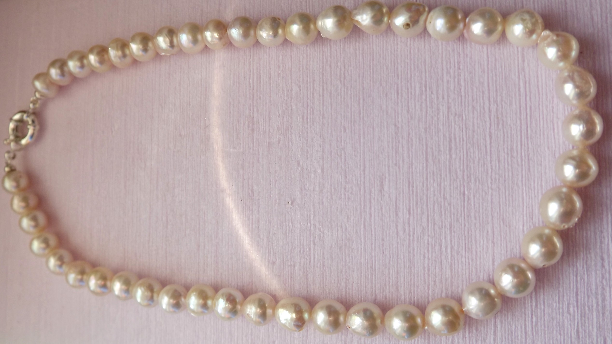 perla9b.jpg (29115 byte)